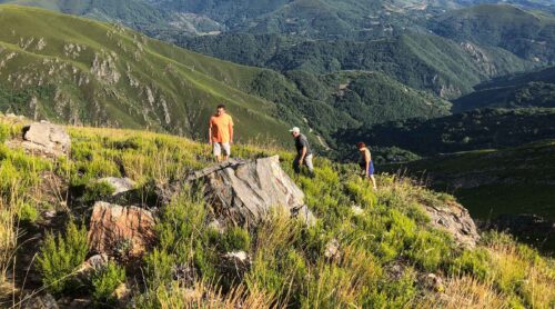 Wandern