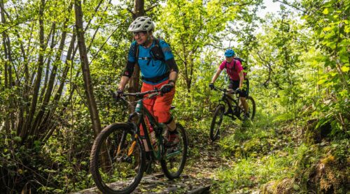 Mountain-Bike